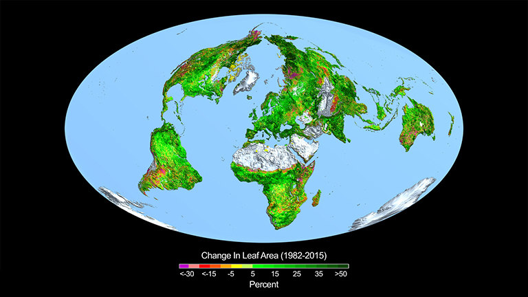 Change In Leaf Area 768px